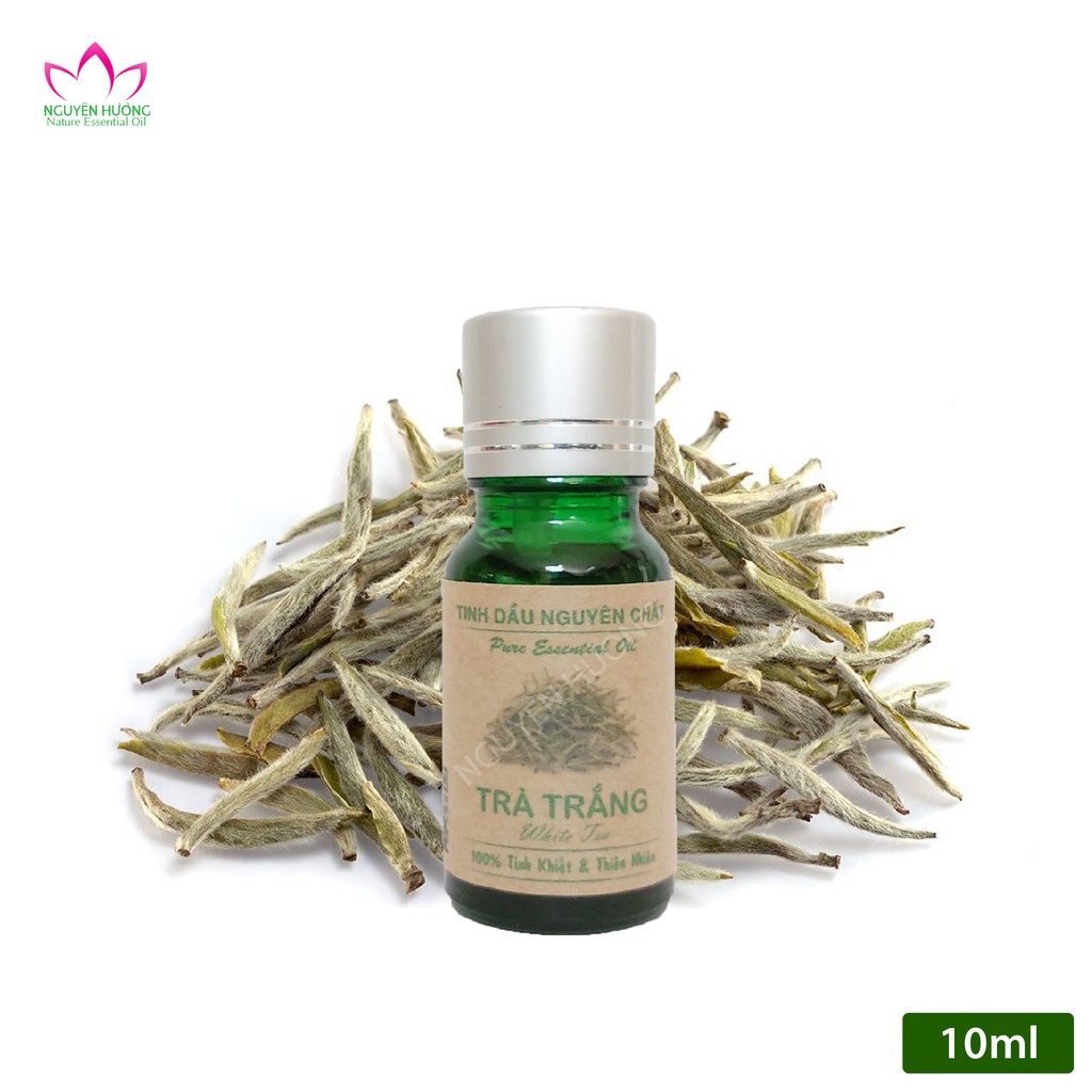 Tinh dầu Trà Trắng Nguyên Chất|Tinh dầu trà trắng cao cấp Nhập Khẩu Ấn Độ|Thương Hiệu Nguyên Hương