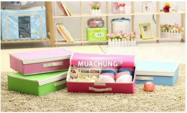 Hộp đựng đồ lót 16 ngăn có nắp đậy