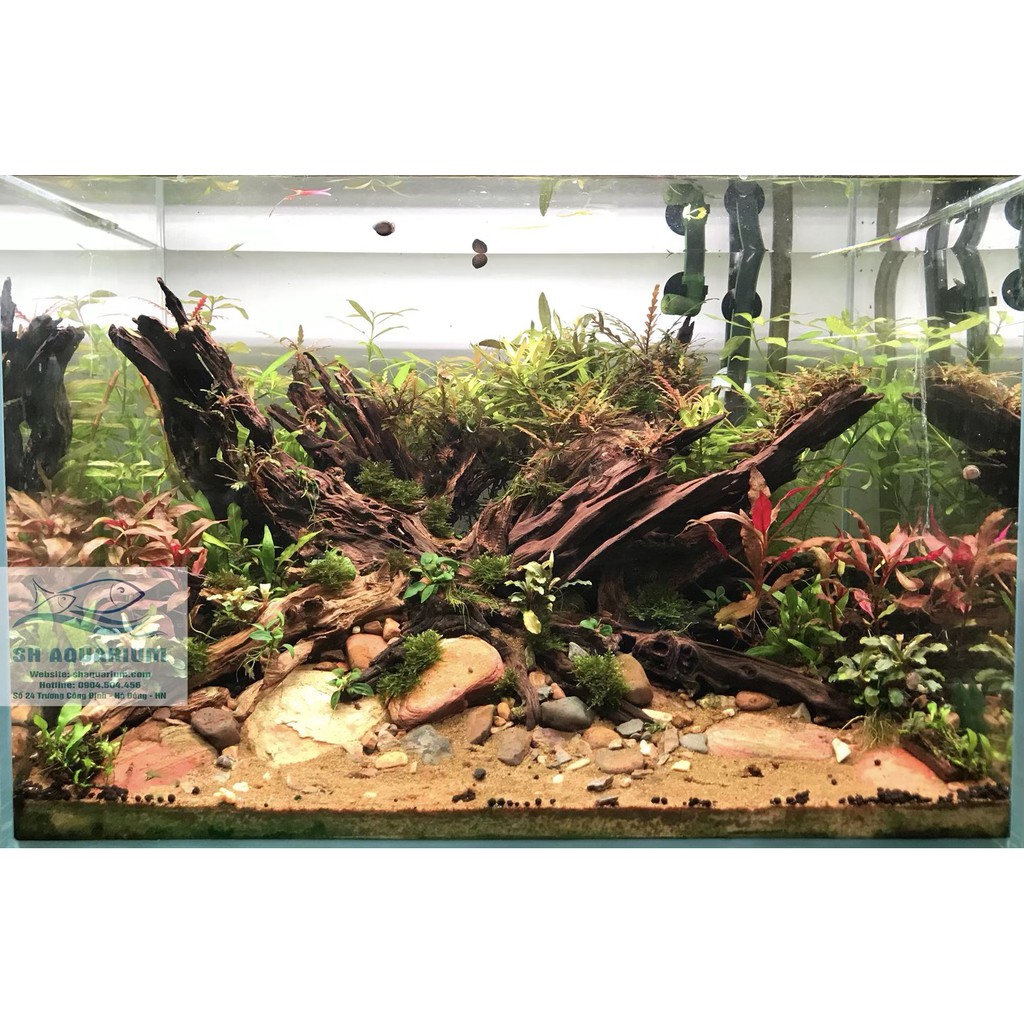 Đèn Nala Thế Hệ Mới C400, C600, C900