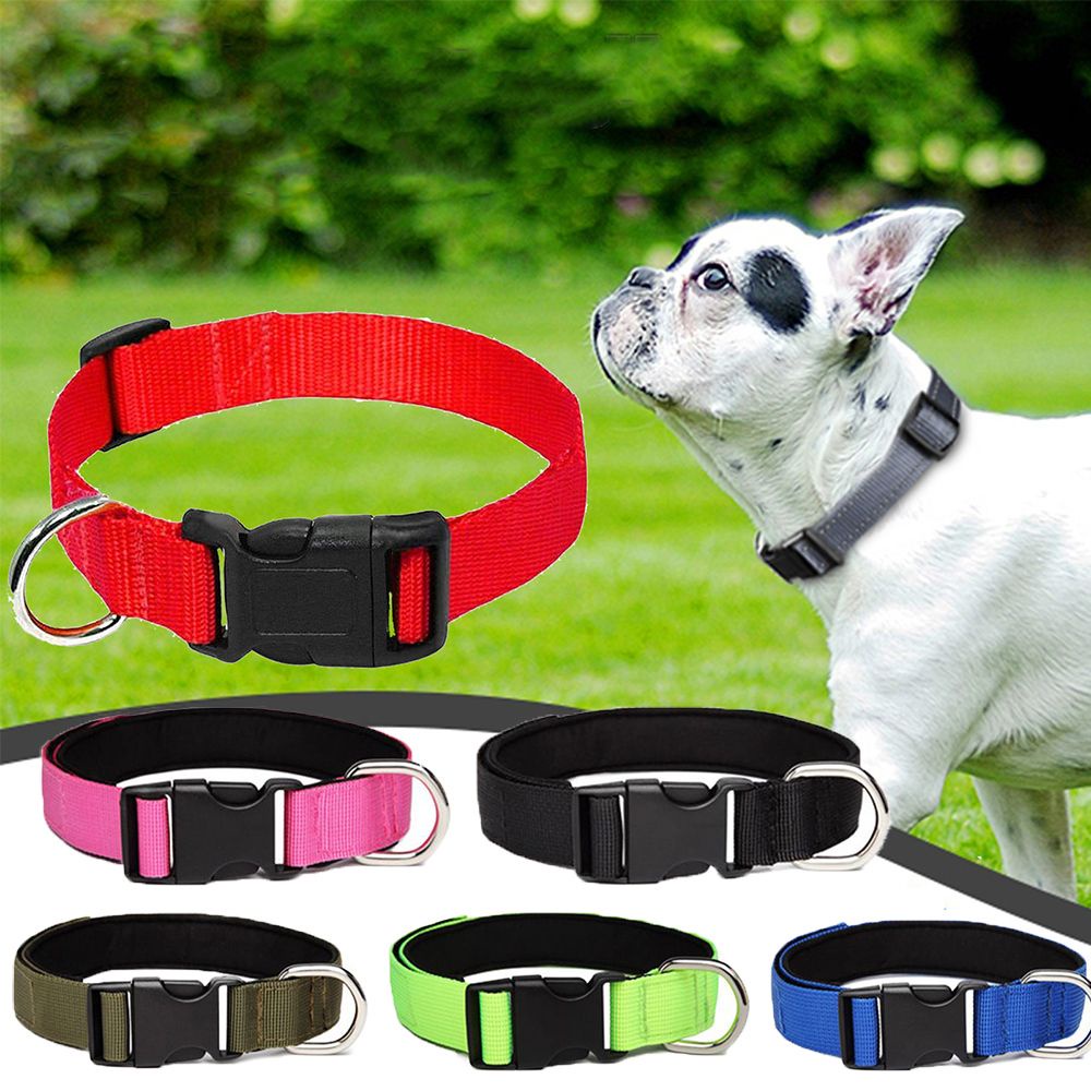 1 Vòng Đeo Cổ Màu Trơn Có Thể Điều Chỉnh Cho Thú Cưng Cỡ Vừa / Lớn / Lớn / Lớn / Nhiều Màu Sắc Tùy Chọn