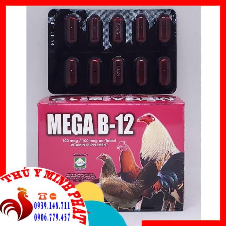 B12 MEGA dinh dưỡng cho gà HÀNG NHẬP KHẨU