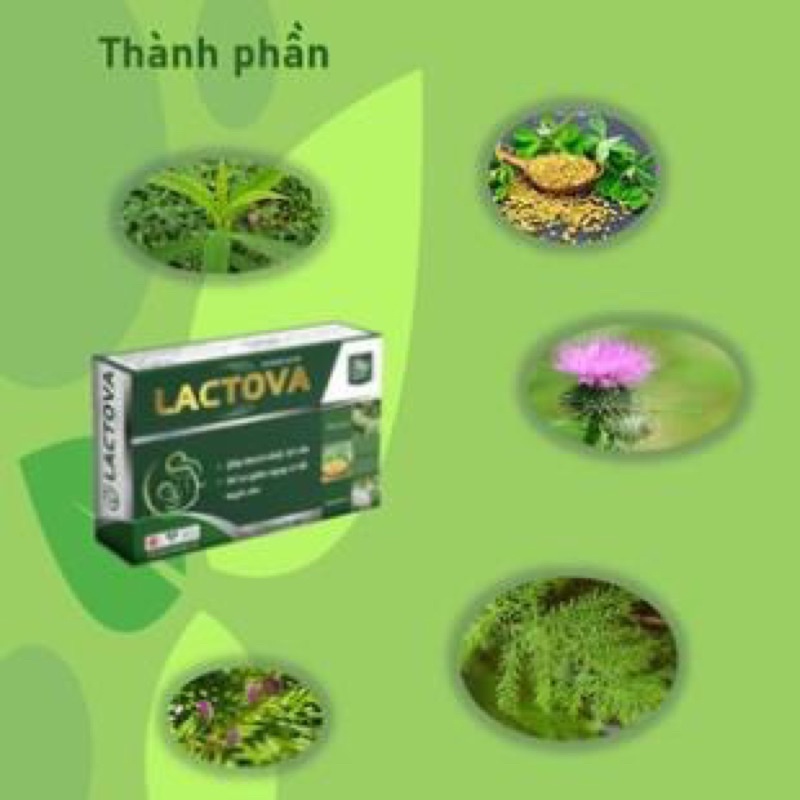 Viên uống lợi sữa LACTOVA - Tăng tiết sữa, thông tuyến sữa phụ nữ sau sinh