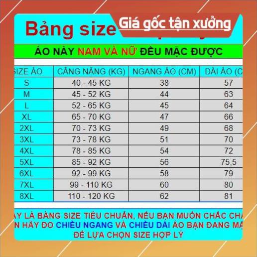 [CHẤT VẢI CỰC MÁT] Áo bigsize - Áo thun 3d cho người béo - Quần Áo dành cho người hơi mập