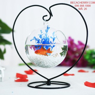 Bể cá mini phong thủy trái tim 26 cỡ to