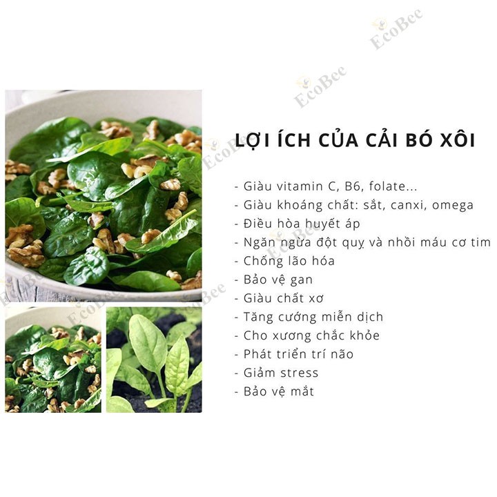 Bột Cải Bó Xôi ( Rau Chân Vịt ) 100gram - Ecobee