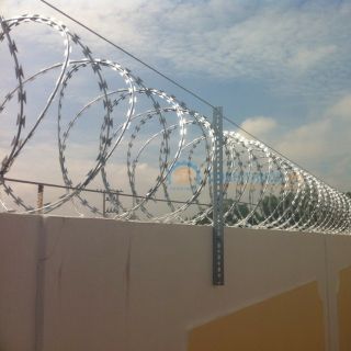 Dây thép gai mạ kẽm tường rào