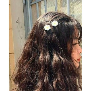cặp tóc cúc họa mi siêu xinh