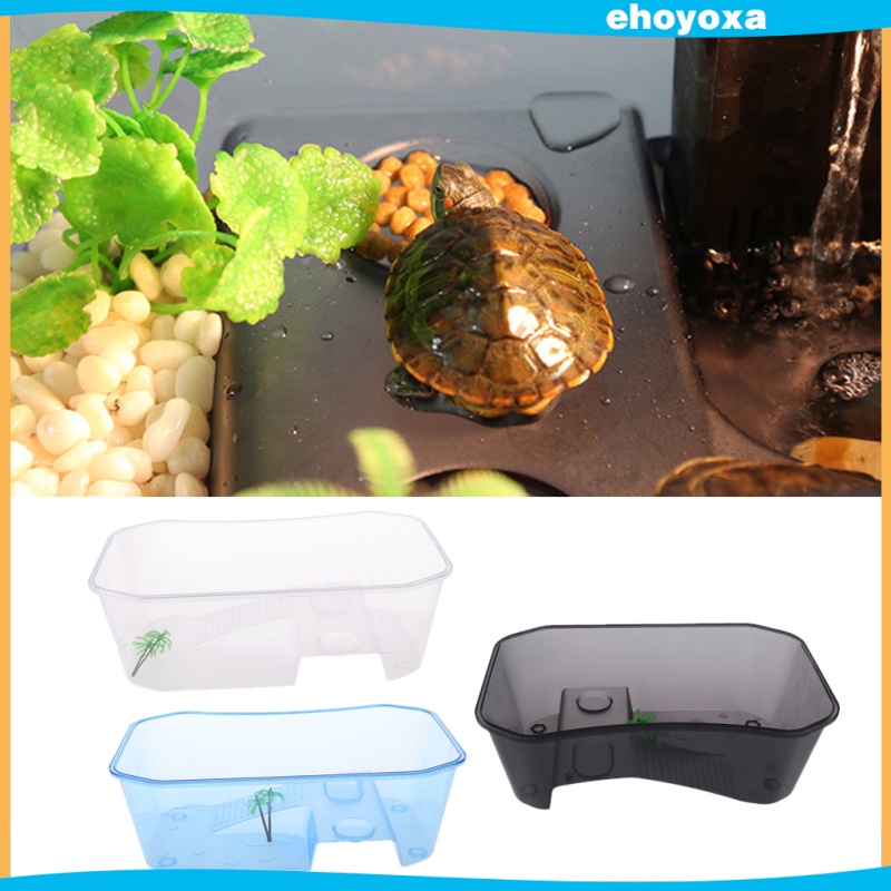 Hộp Nuôi Bò Sát / Bò Sát / Thằn Lằn / Bò Sát / Bò Sát Bằng Nhựa Hình Cây Dừa