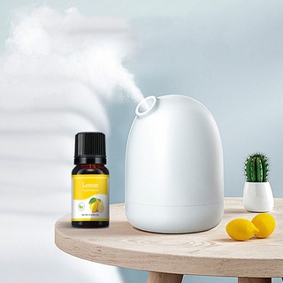 Tinh Dầu Thiên Nhiên Nguyên Chất Lọ 10ML
