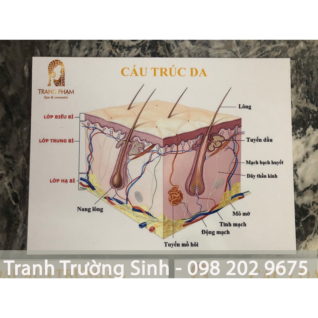 BỘ 3 TRANH CẤU TRÚC DA