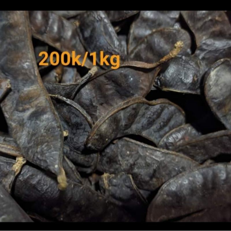 Trái bồ kết khô 200gr quả dày