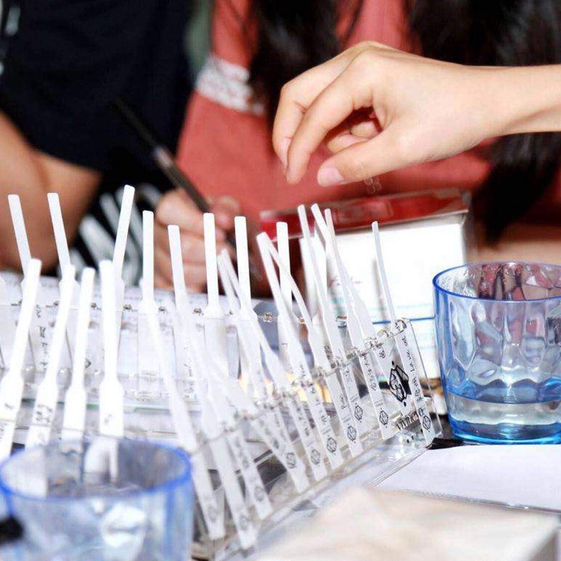 [COMBO 10 QUE] GIẤY THỬ MÙI NƯỚC HOA HÀNG CHUẨN TIỆN DỤNG | Thế Giới Skin Care