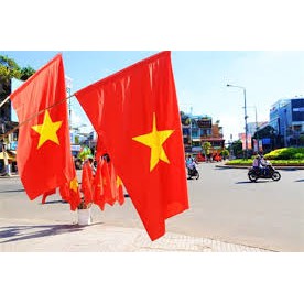 Cờ Việt Nam 120x80 Lá Cờ Đỏ Sao Vàng To