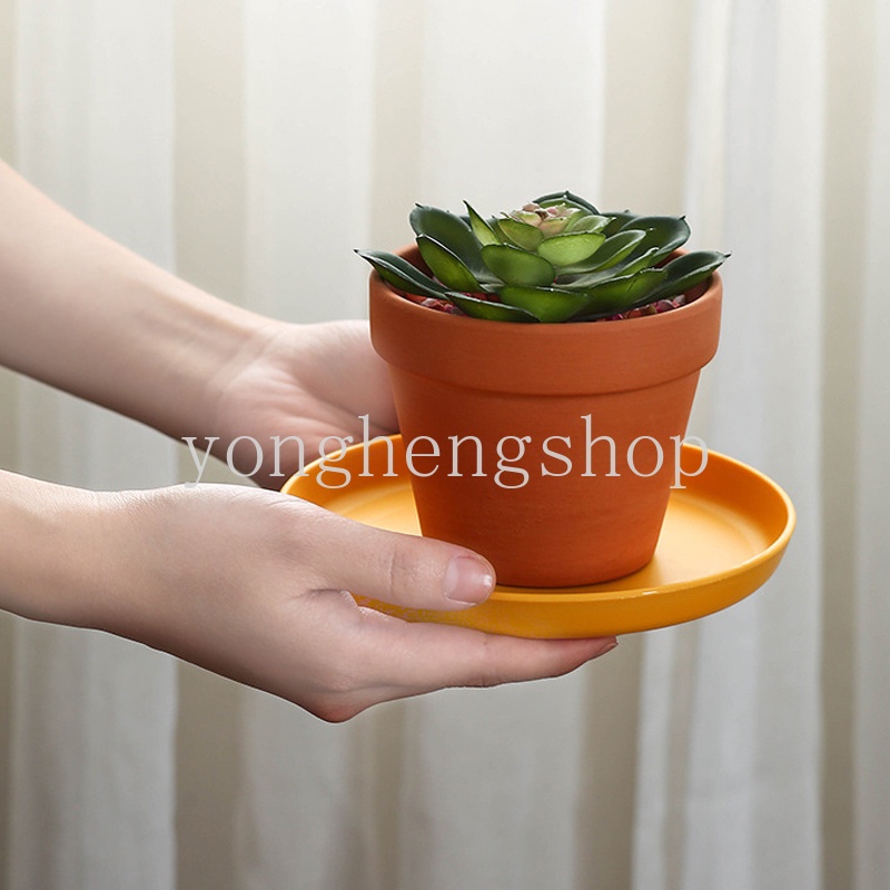 Đĩa Đựng Trái Cây/Đồ Ăn Vặt/Đồ Ăn Vặt/Trái Cây Kiểu Bắc Âu Độc Đáo Sáng Tạo