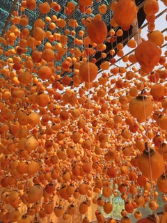 Hồng sấy gió loại 1