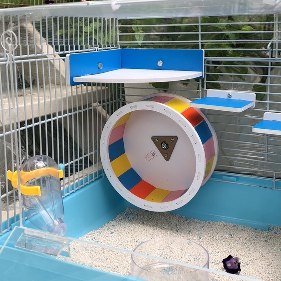 Wheel hamster, whell gỗ màu cho hamster, sóc, bọ, nhím