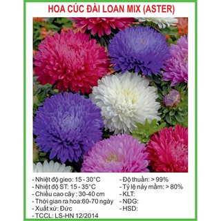 Hạt giống cúc đài loan mix 50 hạt/ gói