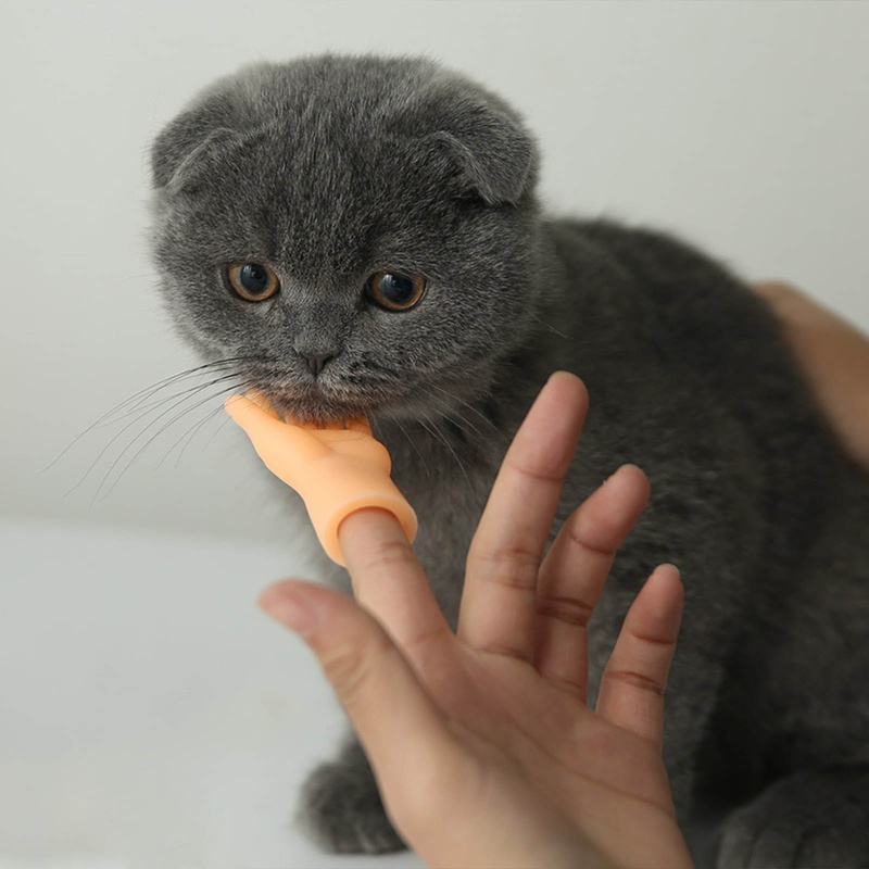 Con Rối Ngón Tay WMMB Cỡ Nhỏ Tiện Dụng Cho Các Hoạt Động Ngoài Trời