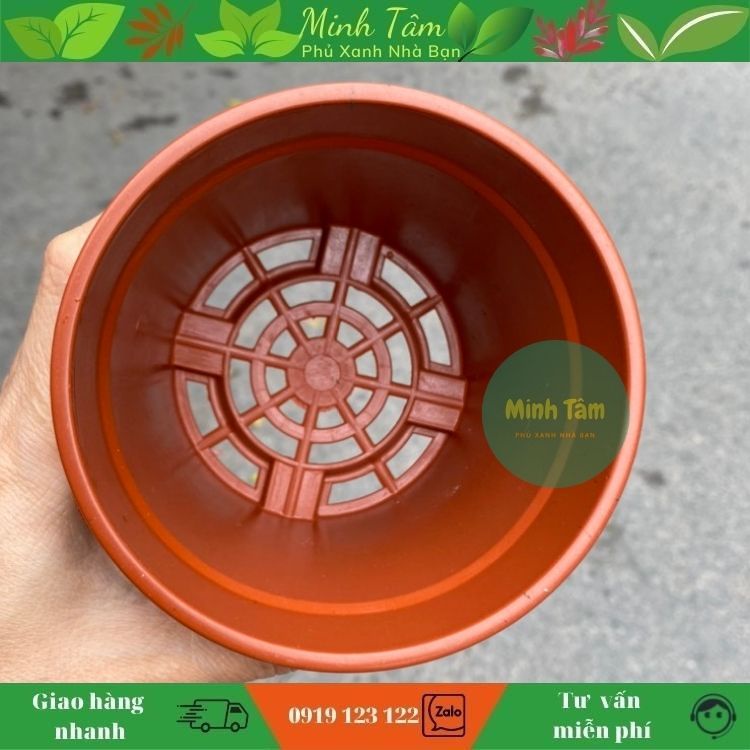 Chậu nhựa tròn - nhiều kích thước đa dạng cho kiểng lá, sen đá xương rồng