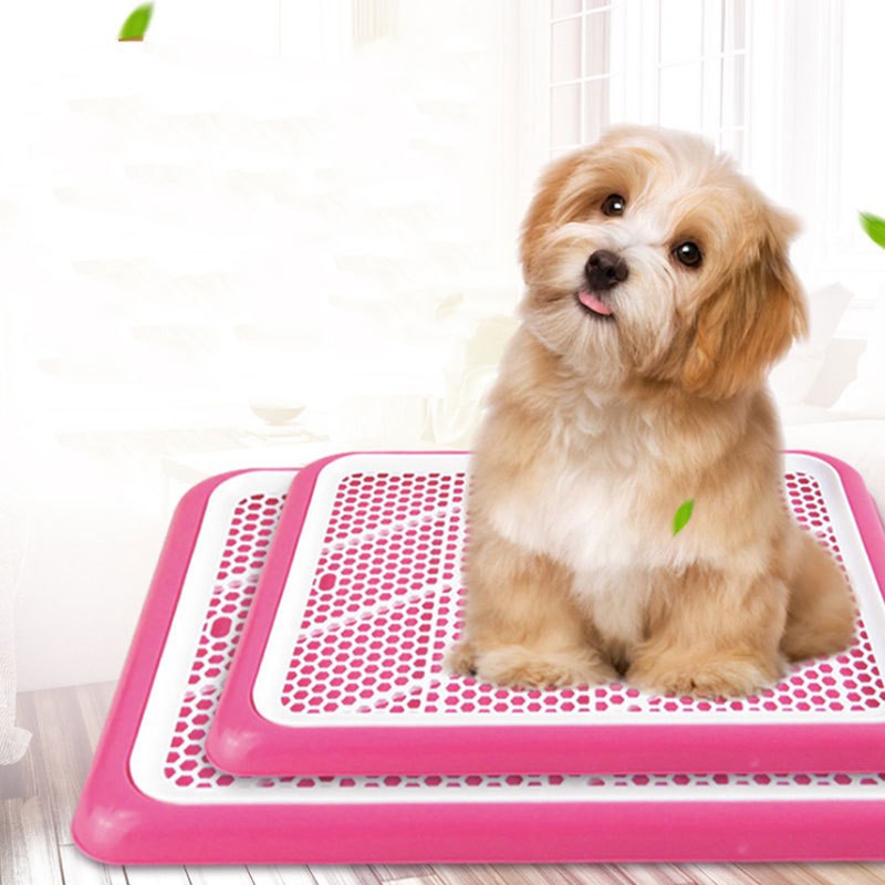 HCM- Khay vệ sinh cho chó lớn dạng dẹt có lưới (2 size - màu ngẫu nhiên )+ Tặng 3 tấm tã giấy lót chuồng, sàn xe
