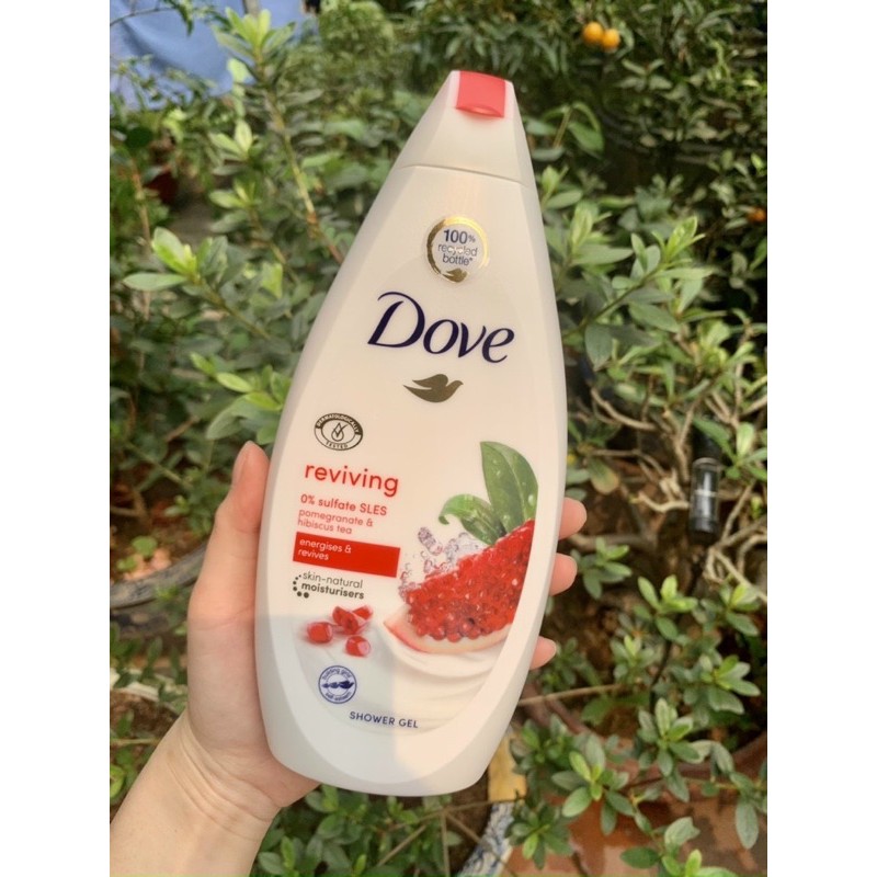 sữa tắm DOVE chai 500ml của Mỹ