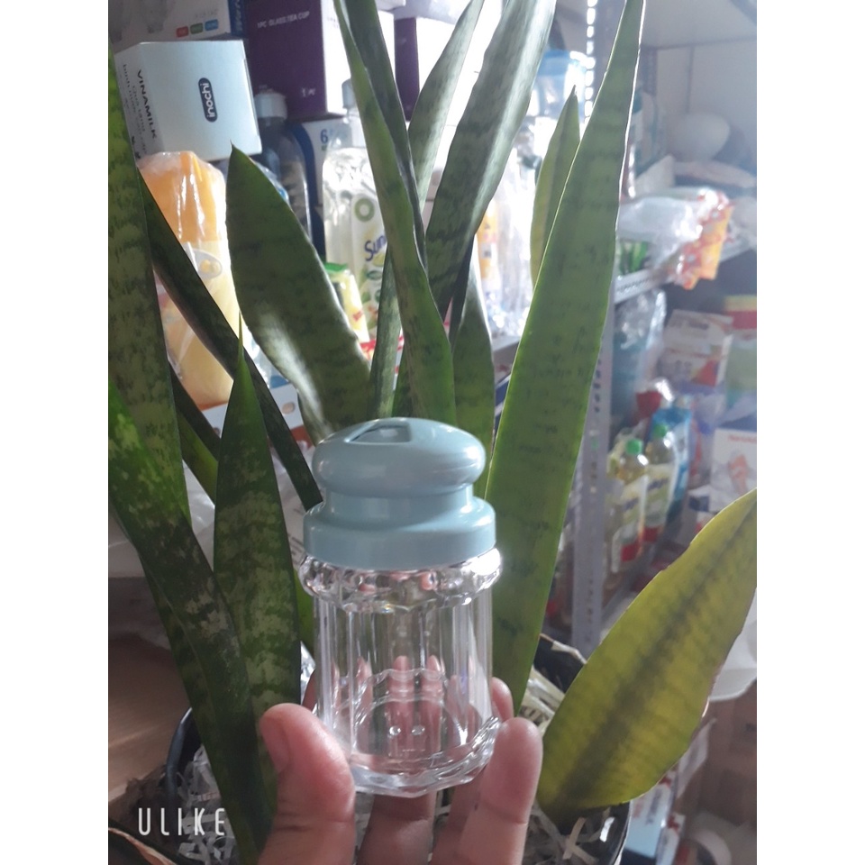 Lọ đựng tăm hạt tiêu giá rẻ