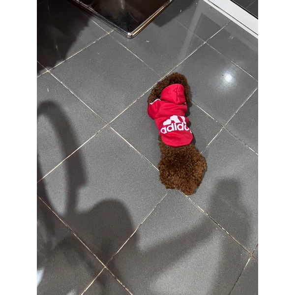 ÁO có nón CHO chó mèo thú cưng