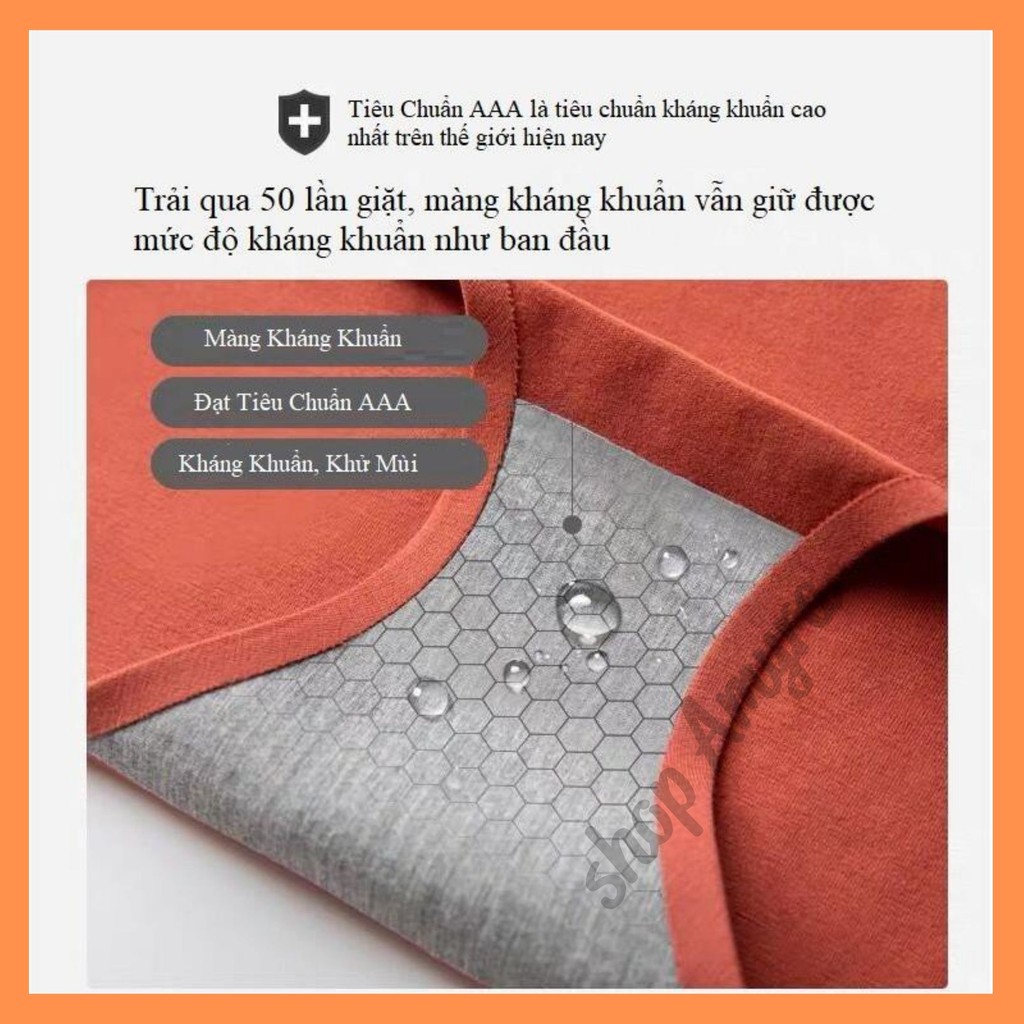 Quần Lót nữ Cotton100 Tàng Hình không Đường May Diệt Khuẩn AMYRA QL001 (Được chọn màu) | BigBuy360 - bigbuy360.vn