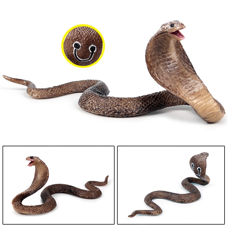 Mô Hình Rắn Hổ Mang Đồ Chơi