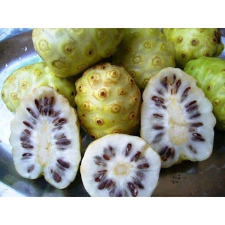 1 kg trái Nhàu già đóng gói chống sốc, đảm bảo tươi nguyên