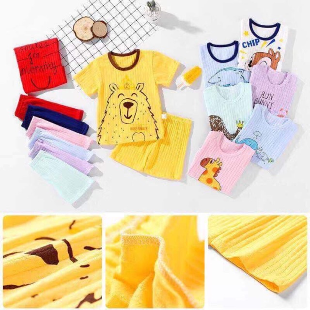 Combo bộ cotton giấy