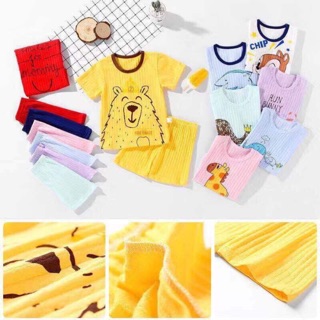 Combo bộ cotton giấy
