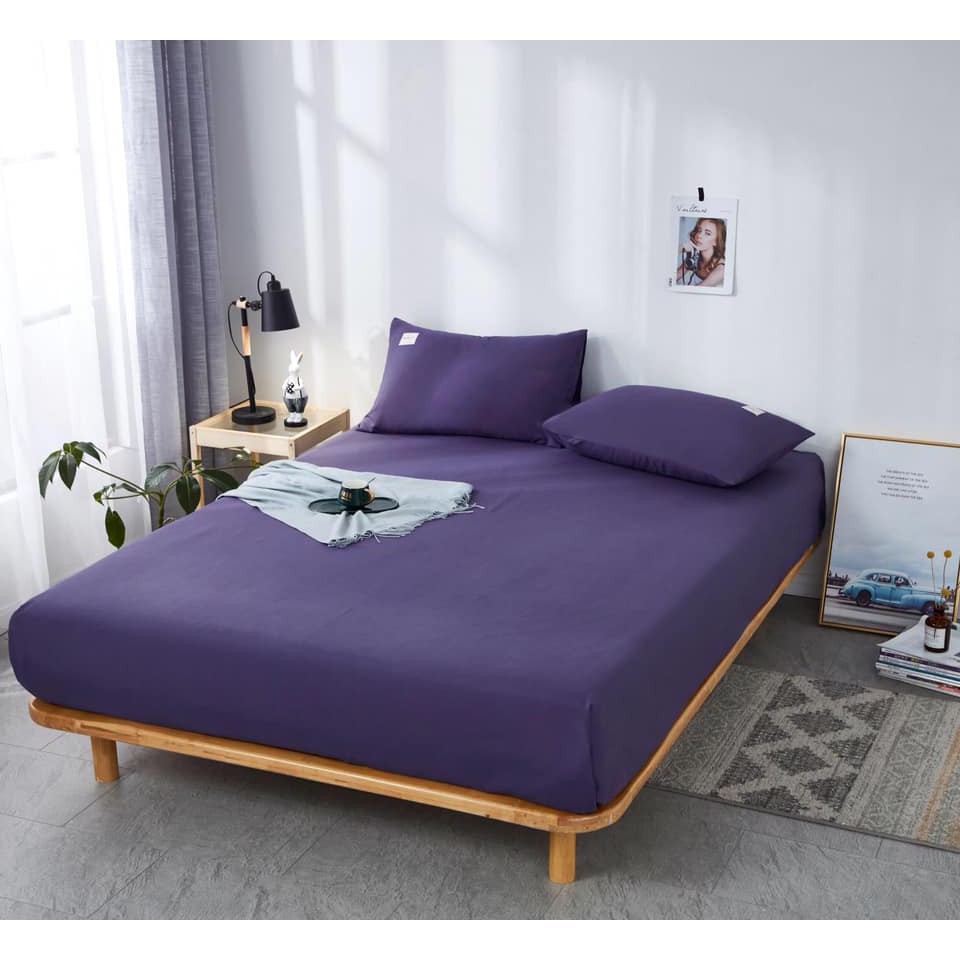 Bộ Ga Gối Cotton Tici Loại 1 Mẫu Mới 2020 | BigBuy360 - bigbuy360.vn