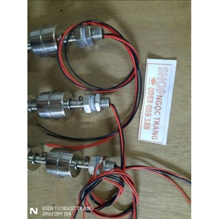 Phao đôi thẳng inox 304 -loại 100mm