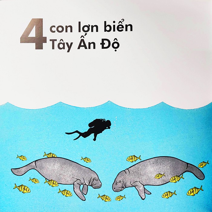 Sách cho bé - Cá Voi Dài Bao Nhiêu - NXB Kim Đồng