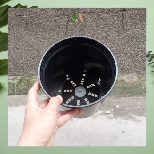 Chậu nhựa cứng tròn đen Thakico trồng cây trong nhà, kiểng lá, các loại hoa kiểng size 18x16 giá xưởng