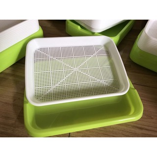 Combo 10 Khay chậu trồng rau mầm, cỏ lúa mạch, cỏ mèo, trồng giá đỗ