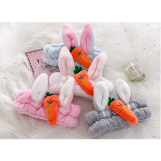 BĂNG ĐÔ CÀ RỐT