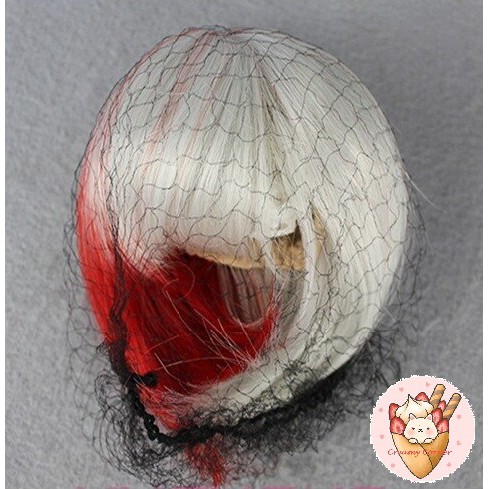 Túi đựng, lưới bảo vệ tóc giả/wig
