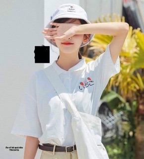 Áo cổ bẻ quả dâu (TR)