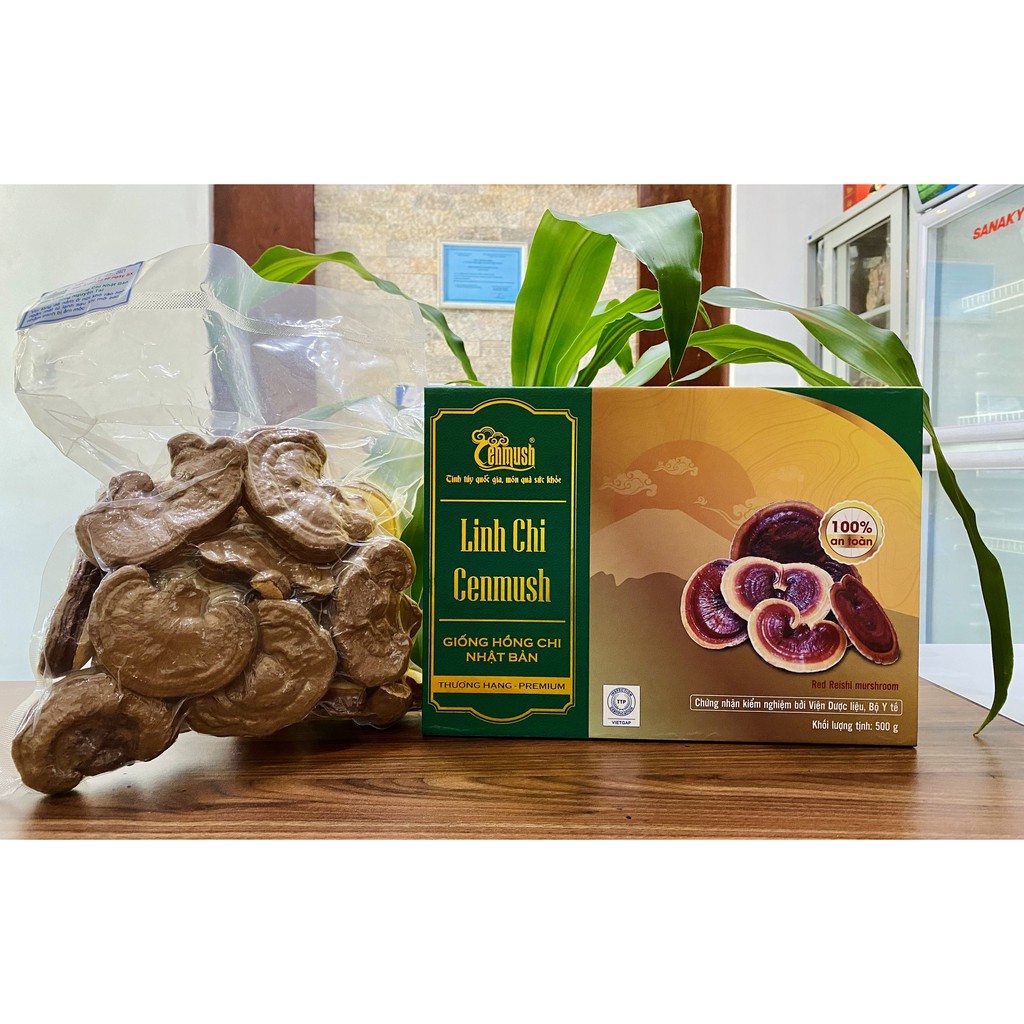Nấm Linh Chi CENMUSH Thượng hạng Nhật Bản hộp 500g giống Hồng Chi - Đặc Sản Xứ Quảng