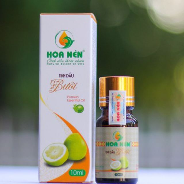 Tinh Dầu Bưởi Hoa Nén Giúp Giảm Căng Thẳng, Chống Say Xe, Giảm Tóc Gãy Rụng, Mỡ Thừa 10ml