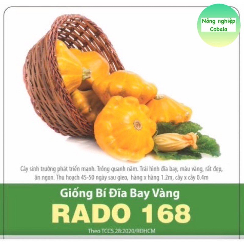 Hạt Giống Bí Đĩa Bay Vàng (RADO168) 1gr