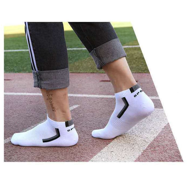 Combo 5 đôi Vớ cổ ngắn thể thao Sport ôm chân, hút ẩm thời trang - Vớ tất nam nữ TA3 LaDoll