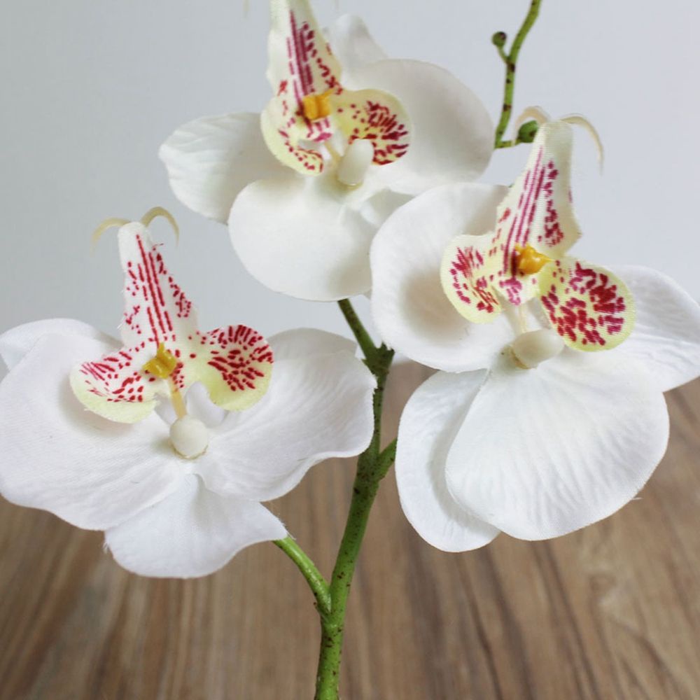 Nhánh hoa lan giả bằng lụa 29cm nhiều màu trang trí tiệc cưới