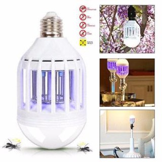 Đèn chiếu sáng và bắt muỗi 2in1