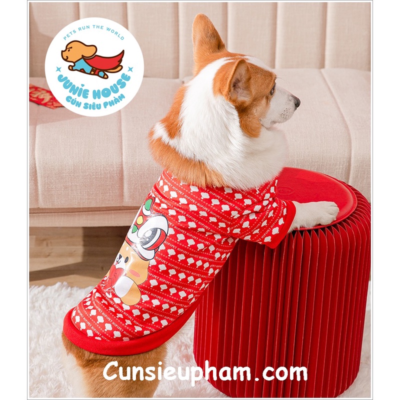 Áo thun Tết size lớn cho chó lớn Corgi Bull Husky