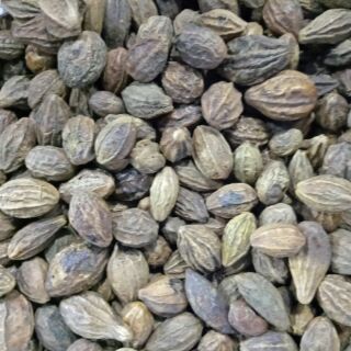 Quả kha tử 100g