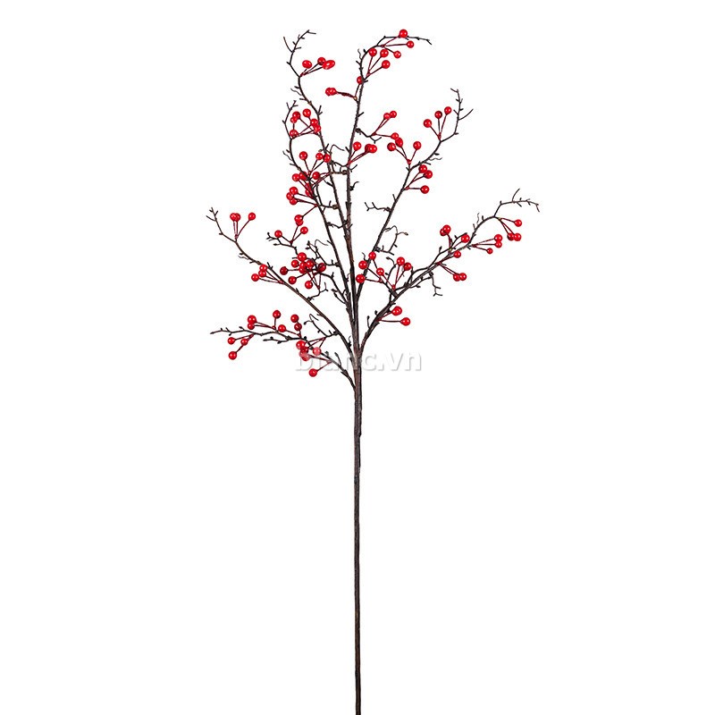 Cành Đào Đông Đỏ Momo BLANC' 110 cm