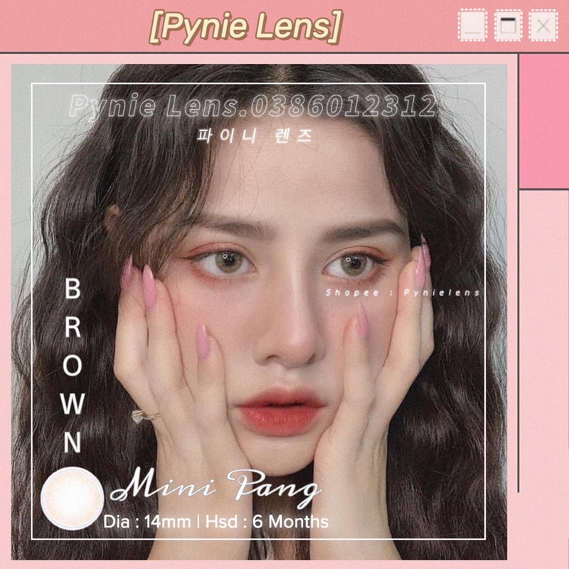 🦋 𝐿𝑒𝑛𝑠 𝑀𝑖𝑛𝑖 𝑃𝑎𝑛𝑔 🦋 nâu không viền lên mắt tây và sáng | Pynielens ✨